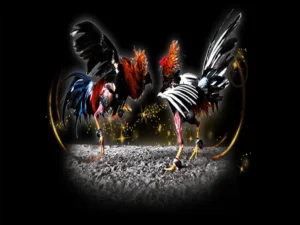 Cách Chơi Đá Gà Sabong Tại F168 Bất Bại Từ Các Chuyên Gia