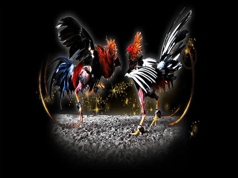 Cách Chơi Đá Gà Sabong Tại F168 Bất Bại Từ Các Chuyên Gia 1 Cách Chơi Đá Gà Sabong Tại F168 Bất Bại Từ Các Chuyên Gia